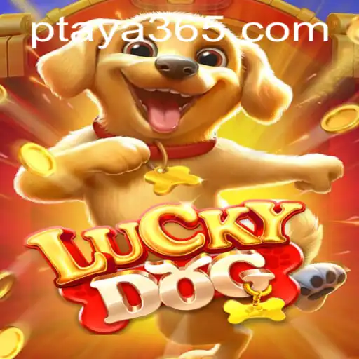 Discovering the World of LuckyDog: An Engaging Gaming Experience with Taya365